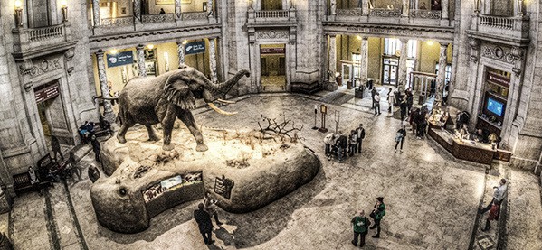 Tour A Museum Father Son Activities