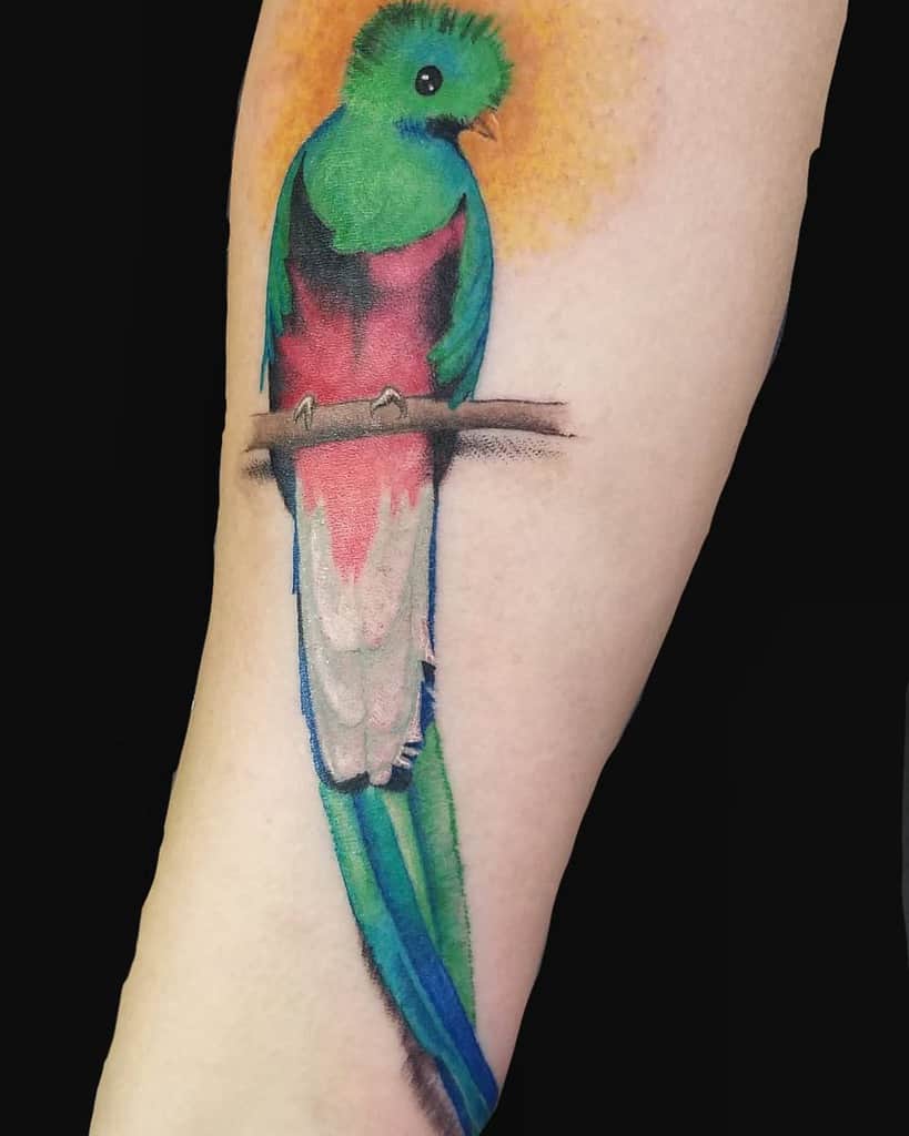 Tattoo of a vibrant quetzal, its green, red, and blue feathers vivid against a soft yellow background as it perches on a branch