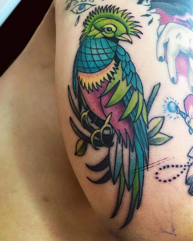 Bold neo-traditional quetzal tattoo on the arm, featuring a stylized green and blue bird with intricate feather details, perched on a branch with artistic elements