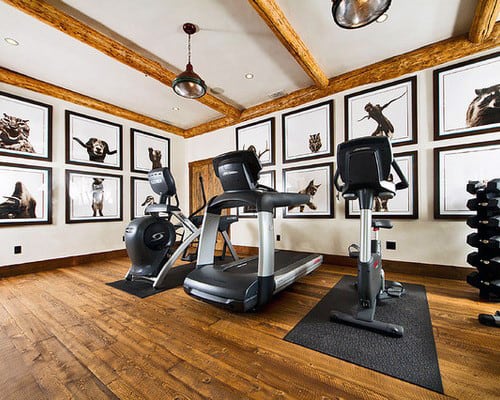 Home gym features a treadmill, exercise bike, and framed animal artwork, perfect for home wellness enthusiasts