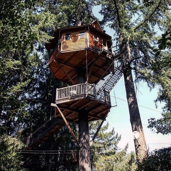 A wooden treehouse with multiple levels, nestled among tall trees, connected by stairs and surrounded by nature