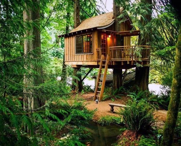 Treehouse nestled among tall trees with a wooden ladder, surrounded by lush greenery and a small stream