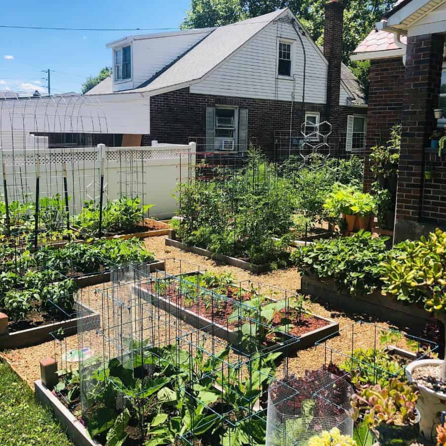 trellis large vegetable garden