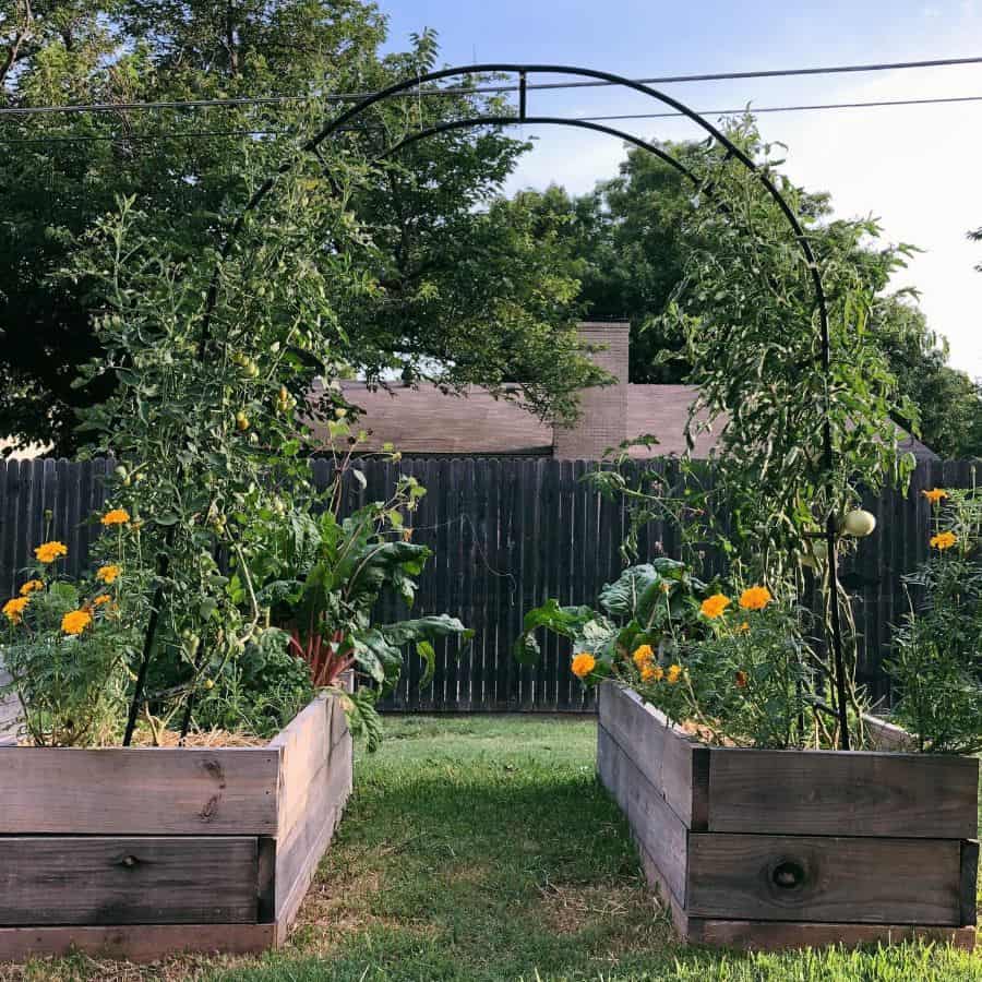 trellis vegetable garden wood planter boxes