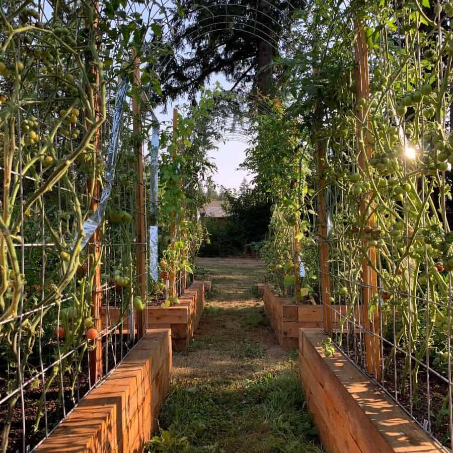 trellis vegetable garden