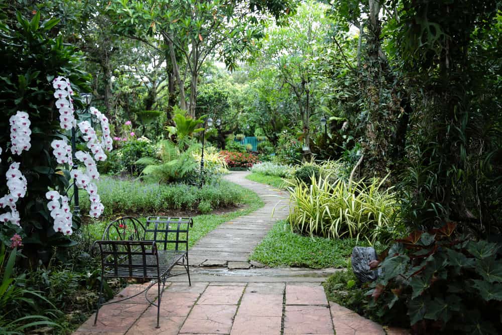large garden with pathway and bench 