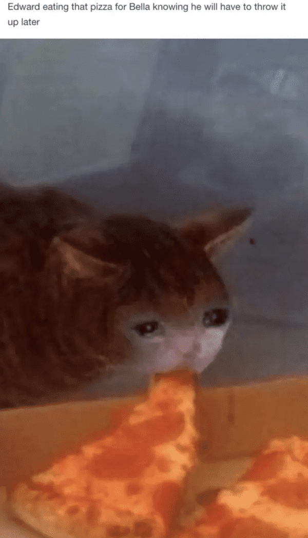twilight-memes-12