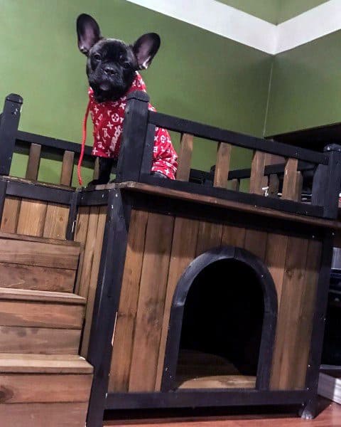 A two-story wooden dog house with stairs and a balcony, featuring a French Bulldog wearing a red sweater sitting on top of the house. The house is designed for indoor use with dark green walls in the background