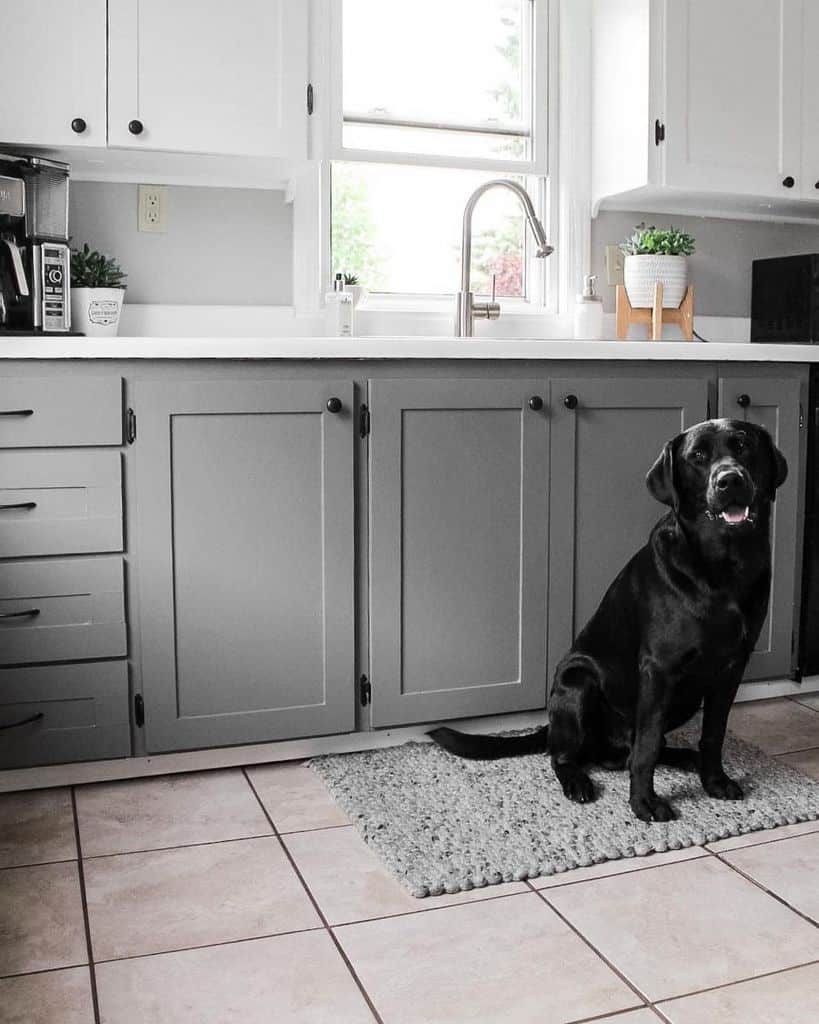 gray cabinet kitchen