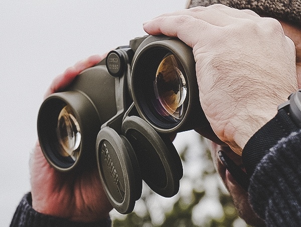 Ultra Clear Steiner Military Marine 10x 50 Binoculars Review