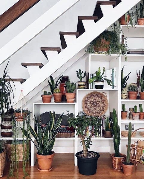under stairs storage pot plants and cactus