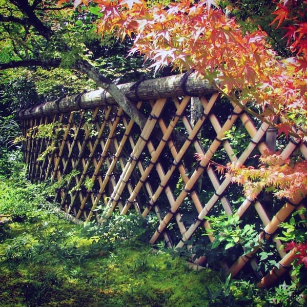 Woven bamboo fence featuring a crisscross lattice design secured with bamboo poles.