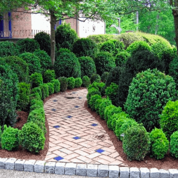 A brick walkway meanders through a garden with neatly trimmed green bushes