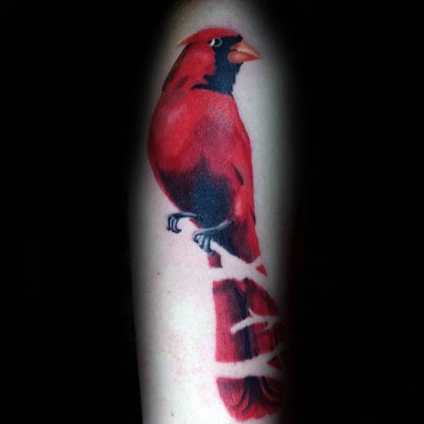 Unique Cardinal Mens Arm Tattoos