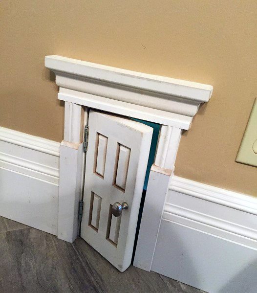 Unique Doggy Door Designs