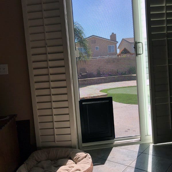 Unique Doggy Doors
