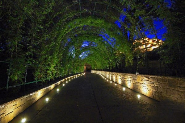 Enchanting driveway tunnel covered in lush greenery, with subtle ground lighting illuminating the path and creating a magical atmosphere at night