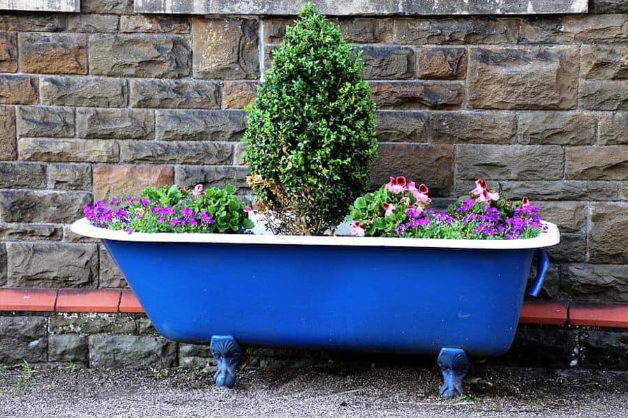 blue bathtub flower bed