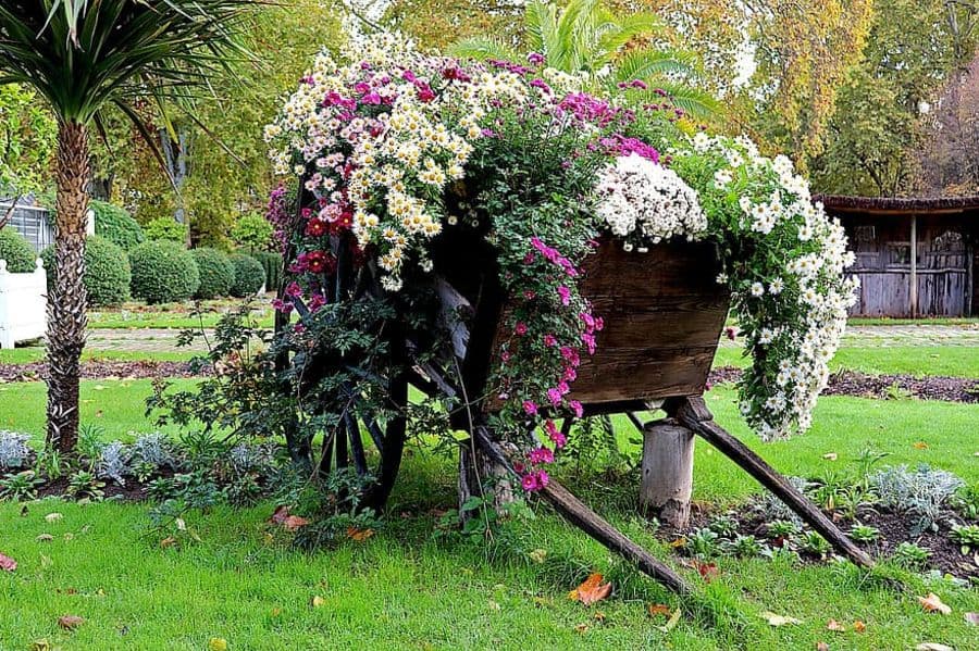 unique wood cart flower bed