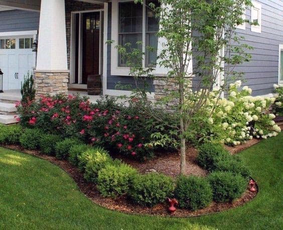 floral garden front yard landscape