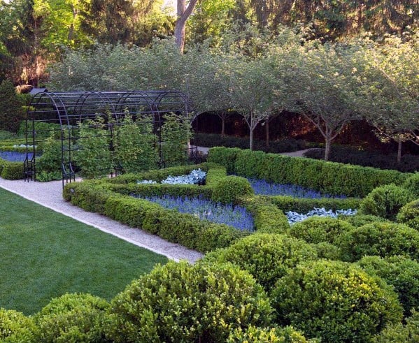 hedge-lined walkway