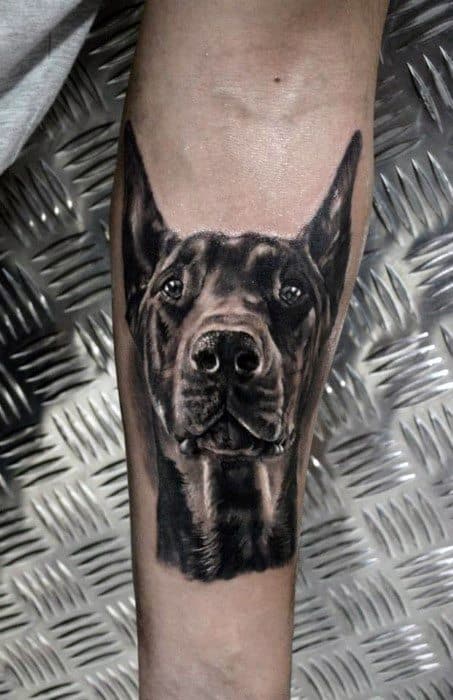 Hyper-realistic Doberman tattoo on the forearm with detailed fur texture, focused expression, and smooth black and grey shading.