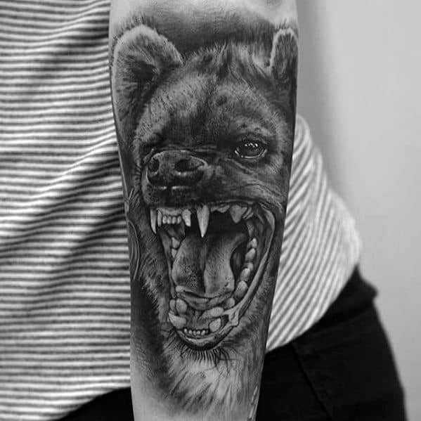 Realistic black and grey hyena tattoo on the forearm, depicting an intense open-mouthed snarl with detailed fur and sharp teeth.