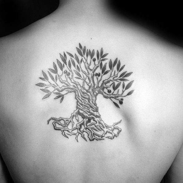 Unique Mens Olive Tree Tattoos On Back