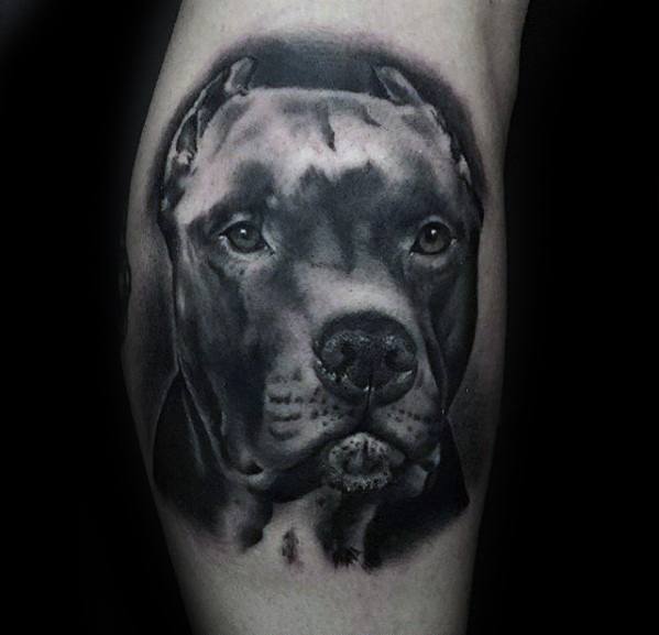 Unique Mens Pitbull Tattoos