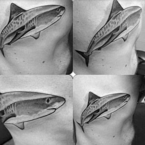 Realistic black and grey tiger shark tattoo on the ribs, shown from multiple angles with smooth shading and lifelike detail.