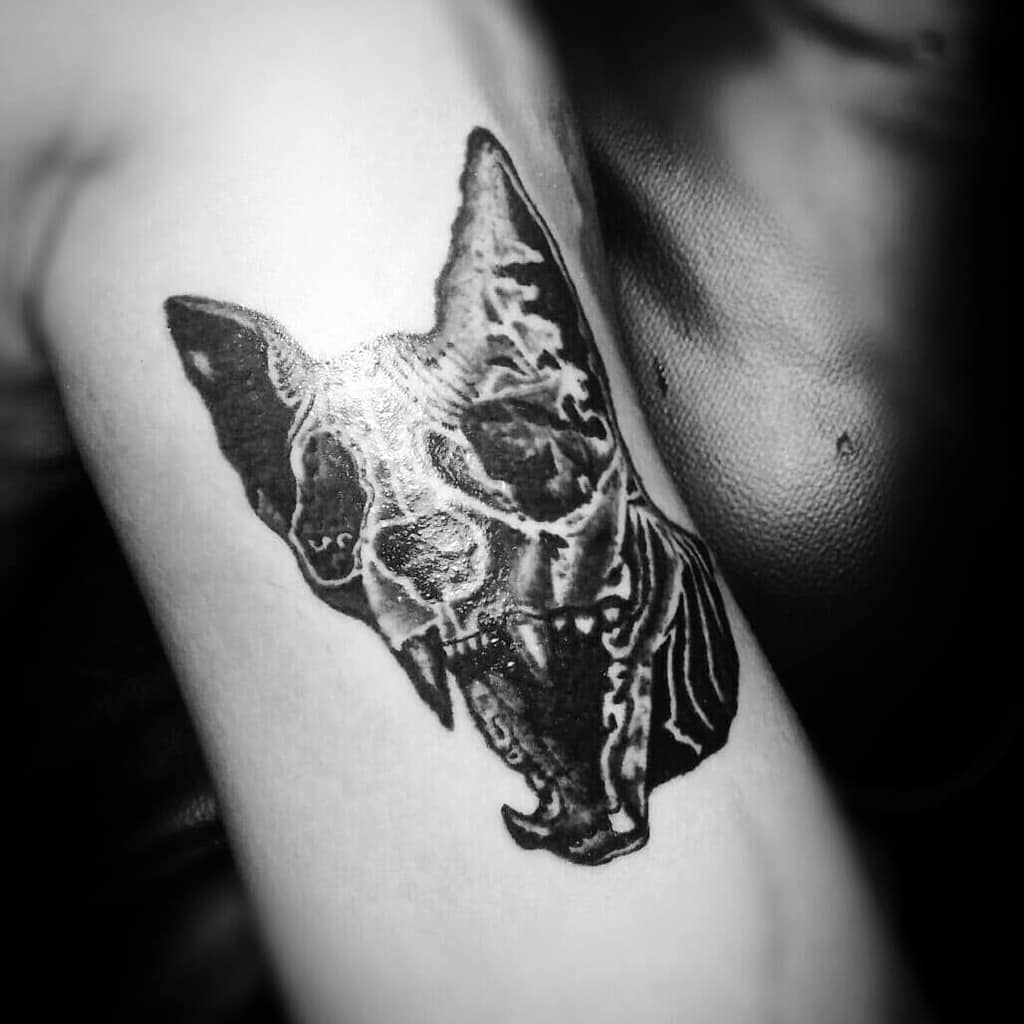 Black and white tattoo depicting a cat skull with large pointed ears on an upper arm