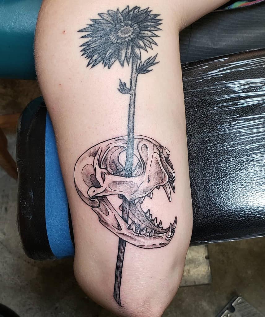 Tattoo of a sunflower growing through a cat skull on an upper arm
