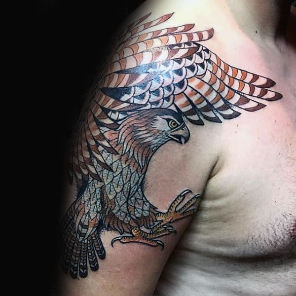 Upper Arm Falcon Tattoo Design Ideas For Gentlemen