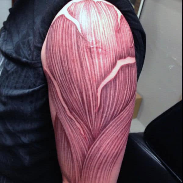 Upper Arm Fibers Of Muscle Male Tattoo Ideas