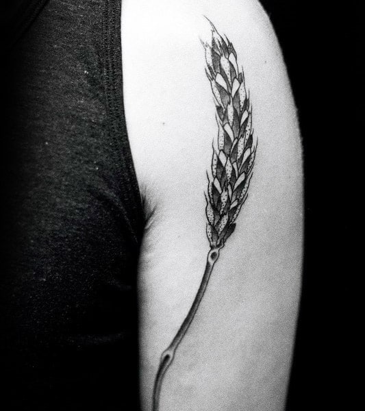 Upper Arm Male Virgo Wheat Tattoos