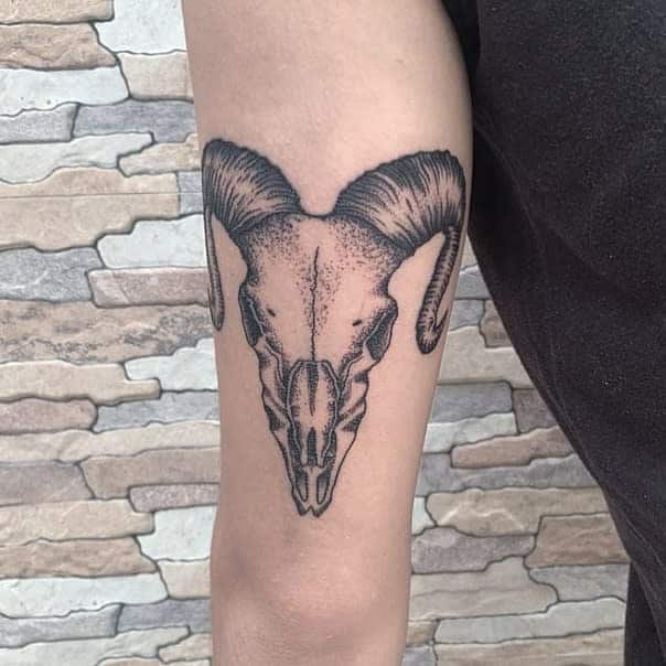 Arm tattoo of a ram skull with curved horns