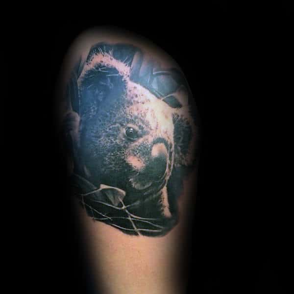 Upper Arm Tattoo Of Koala With Realistic Design For Men