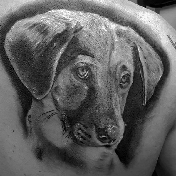 Tattoo of a realistic dog portrait on a person’s back, in black and gray shading