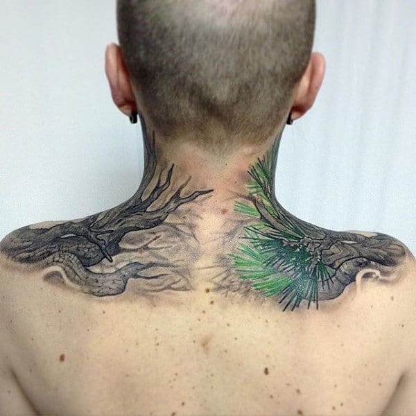 Upper Pine Needle Tree Back Tattoo For Guys