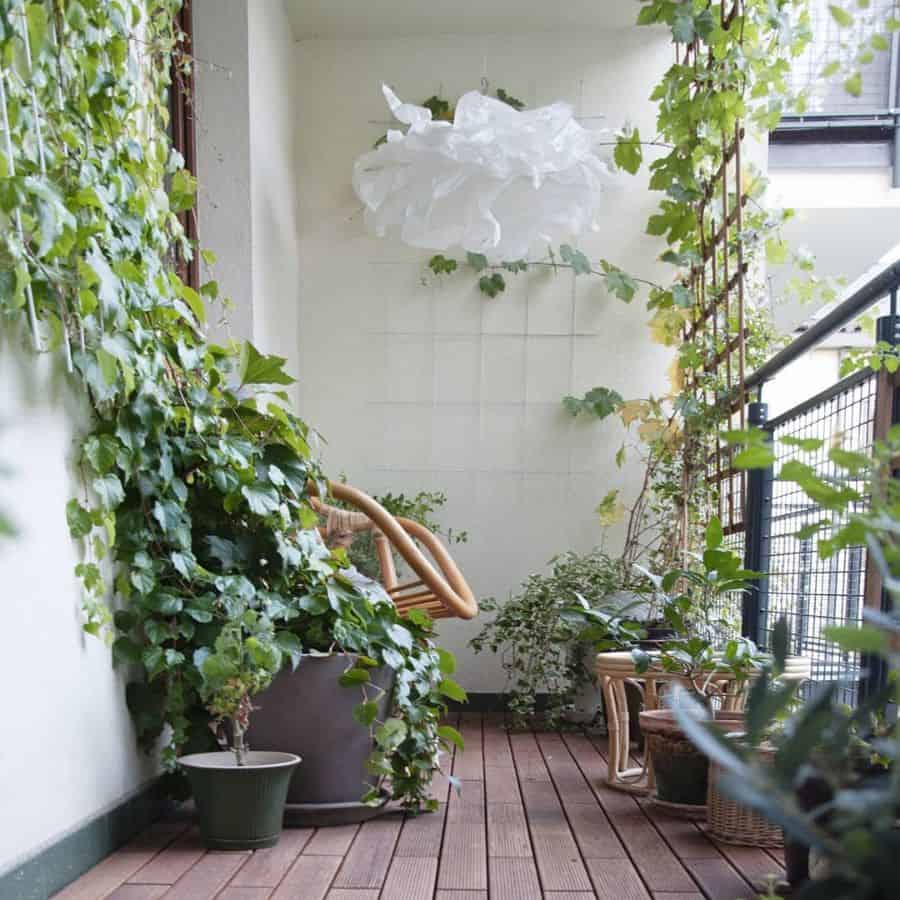 Balcony garden with lush green creepers, wooden flooring, and cozy seating area.