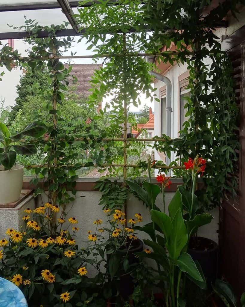 Lush balcony garden with tall green plants and vibrant flowers in a small urban space.