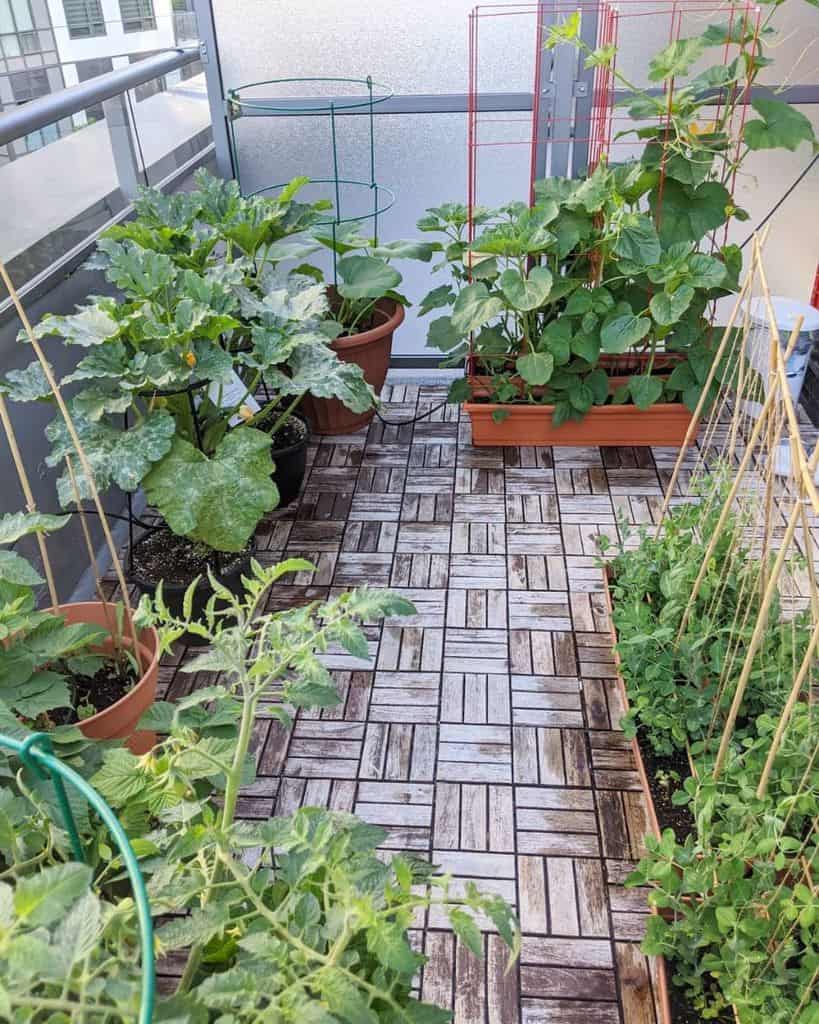 Wooden deck balcony with lush vegetable plants in pots and raised planters.
