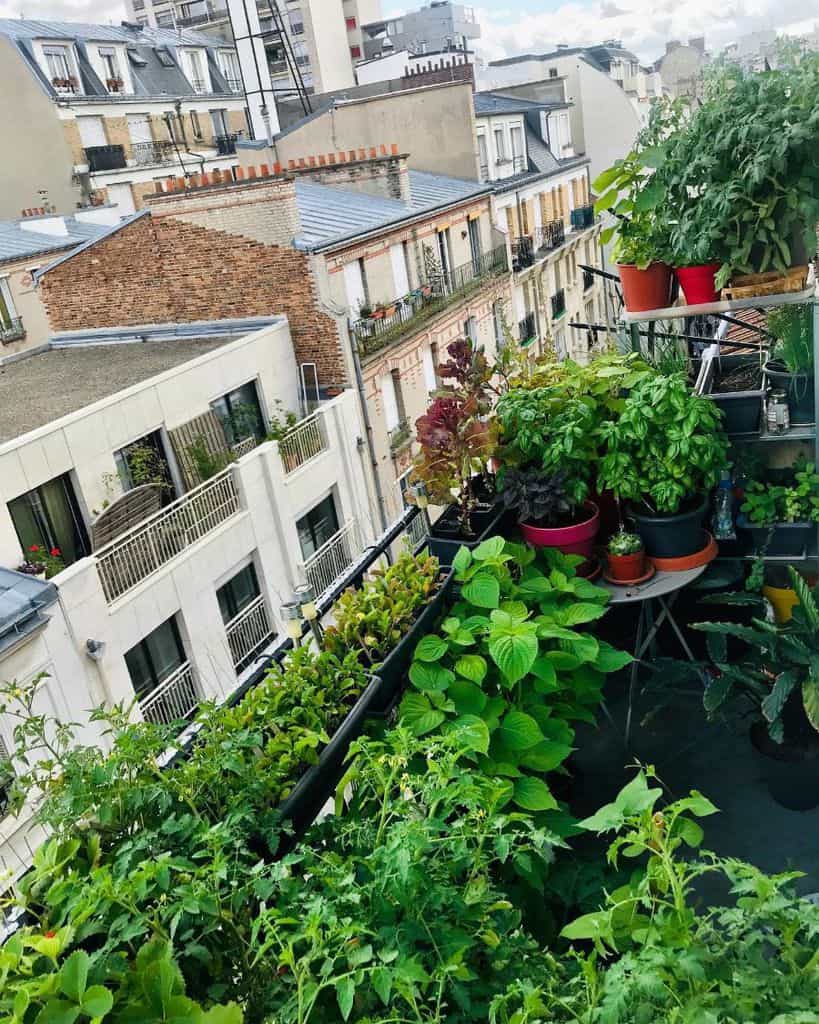 Urban balcony garden filled with potted herbs and vegetables, overlooking city rooftops.