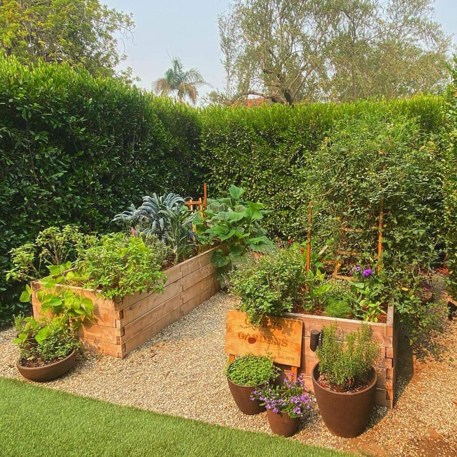 vegetable raised garden bed