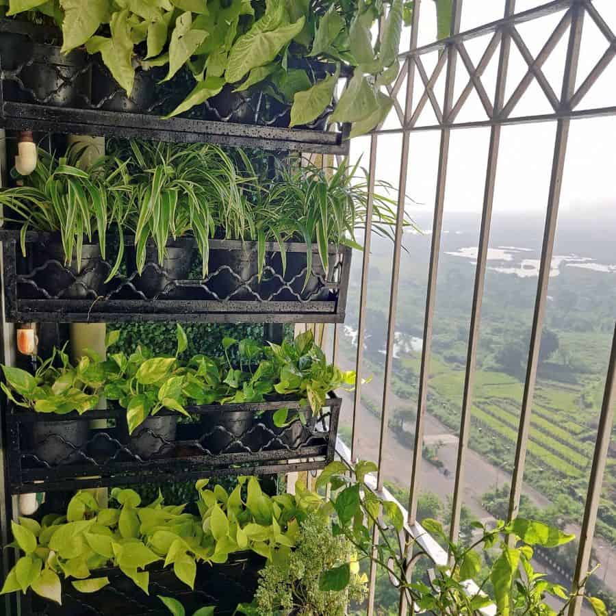 Vertical garden with lush green potted plants arranged on a balcony railing, overlooking a scenic view.