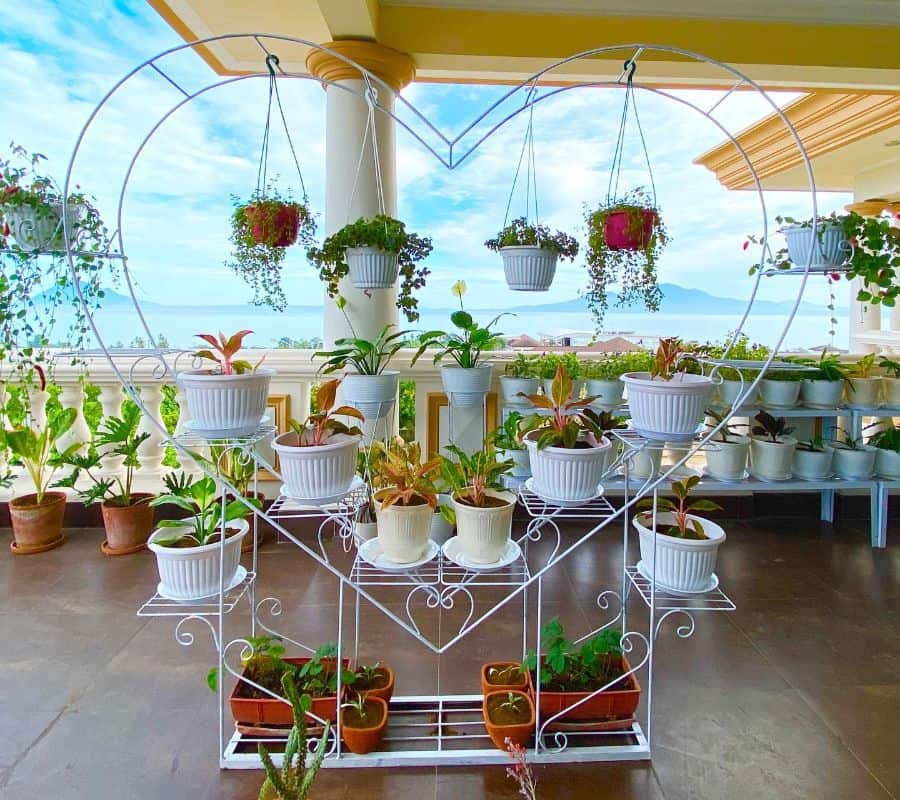 White heart-shaped plant stand with potted plants and hanging baskets on a scenic balcony.