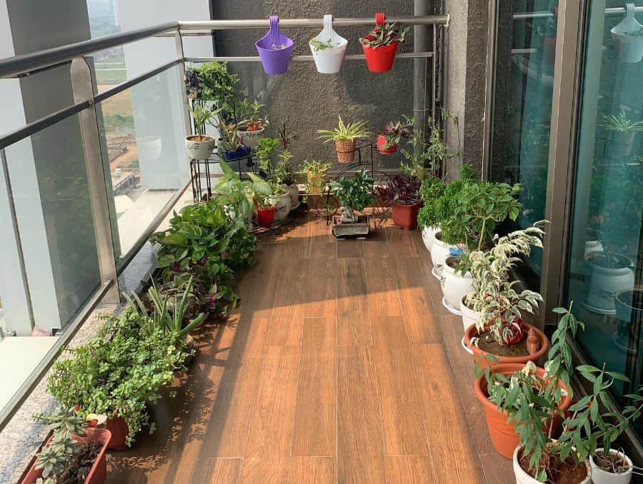 Balcony garden with potted plants on wood flooring and hanging planters.