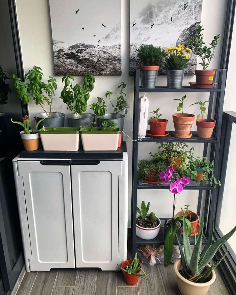 Small balcony garden with potted plants on a shelf and a cabinet with greenery.