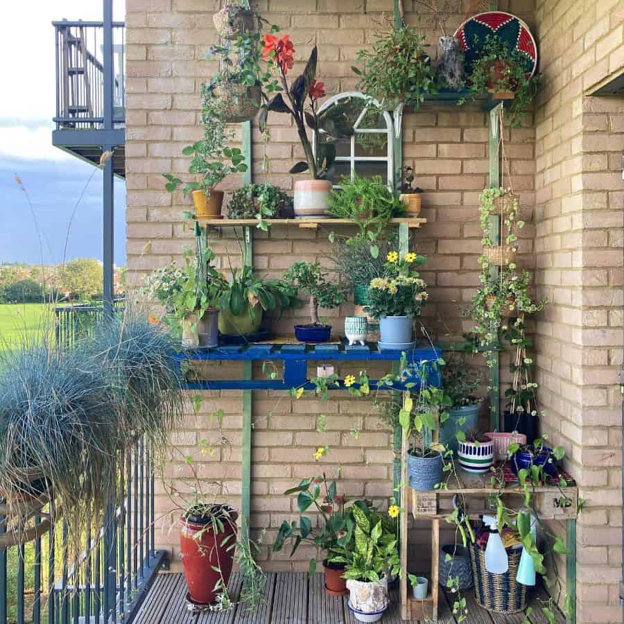 Vertical balcony garden with shelves of potted plants and hanging ivy.
