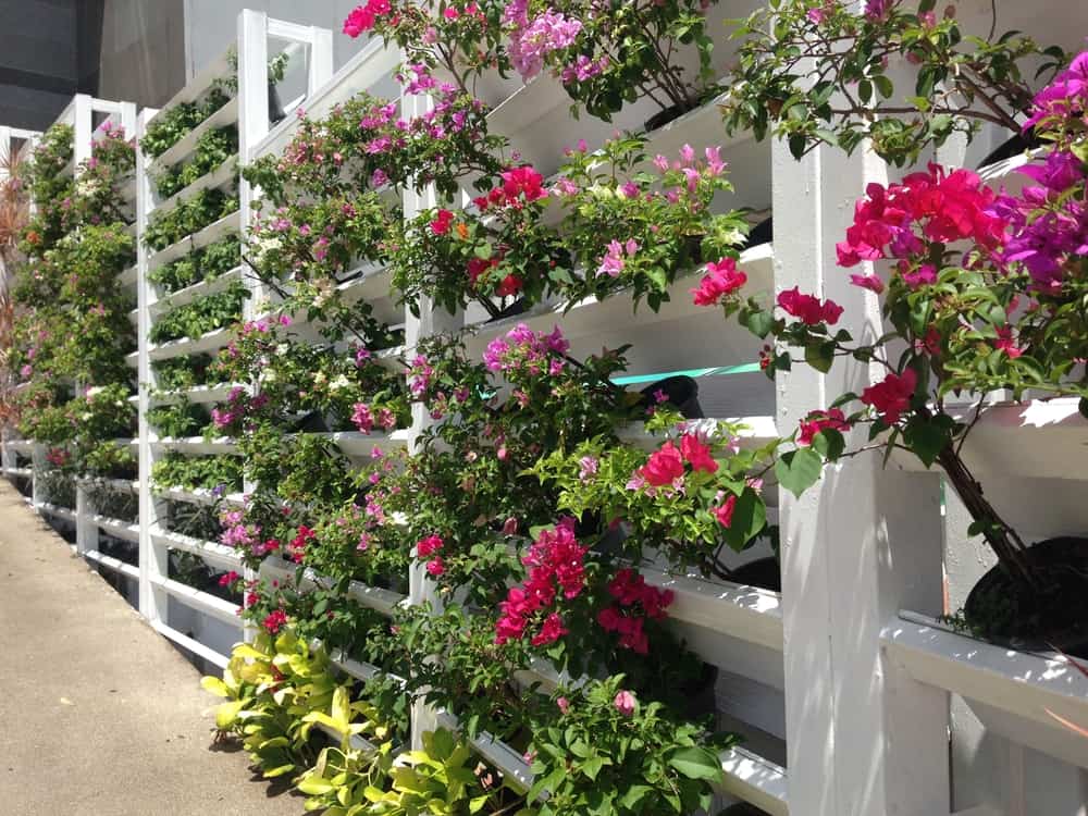 vertical flower garden white fence
